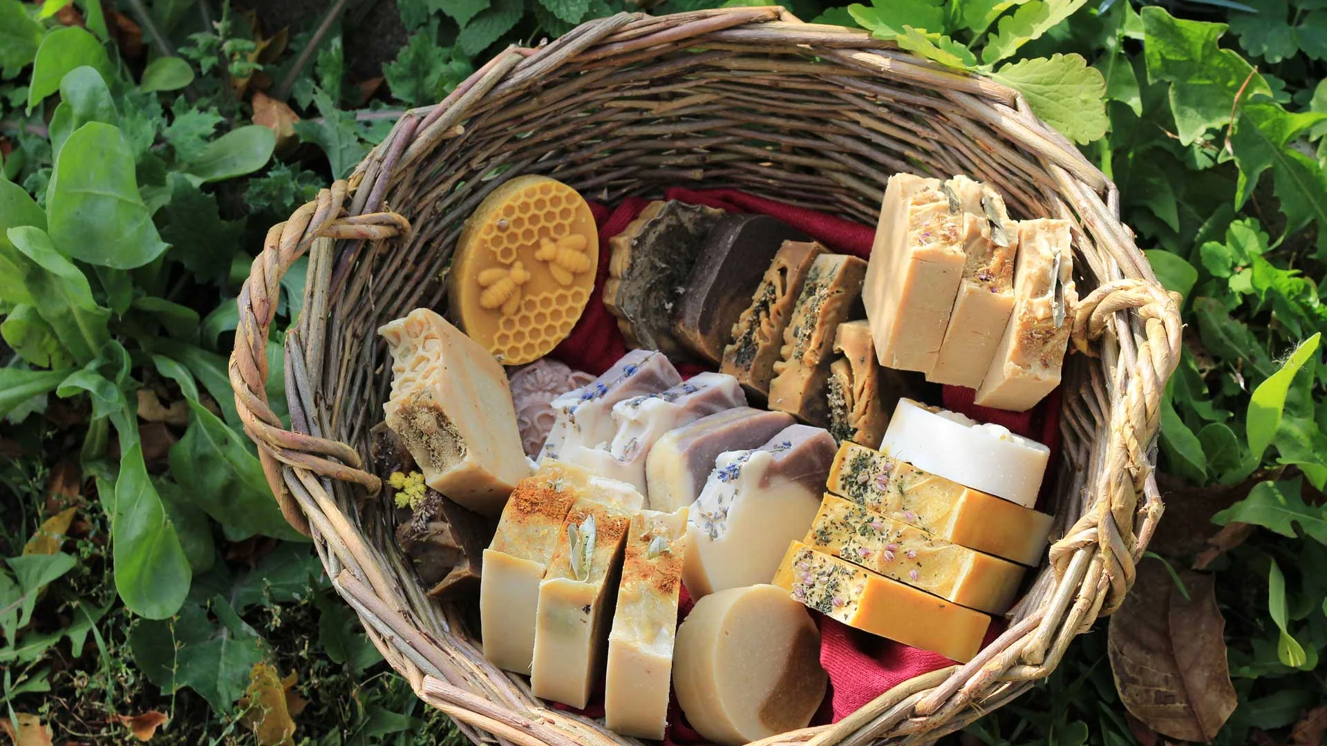 Basket of handmade soap bars in the garden