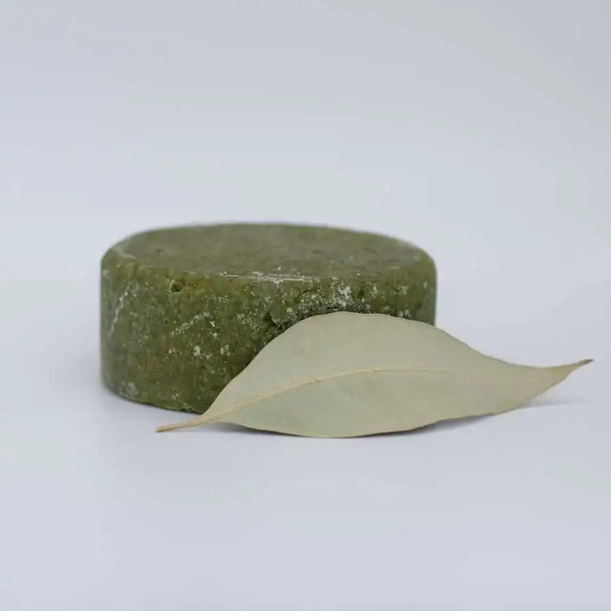 Laurel & Eucalyptus Solid Shampoo
