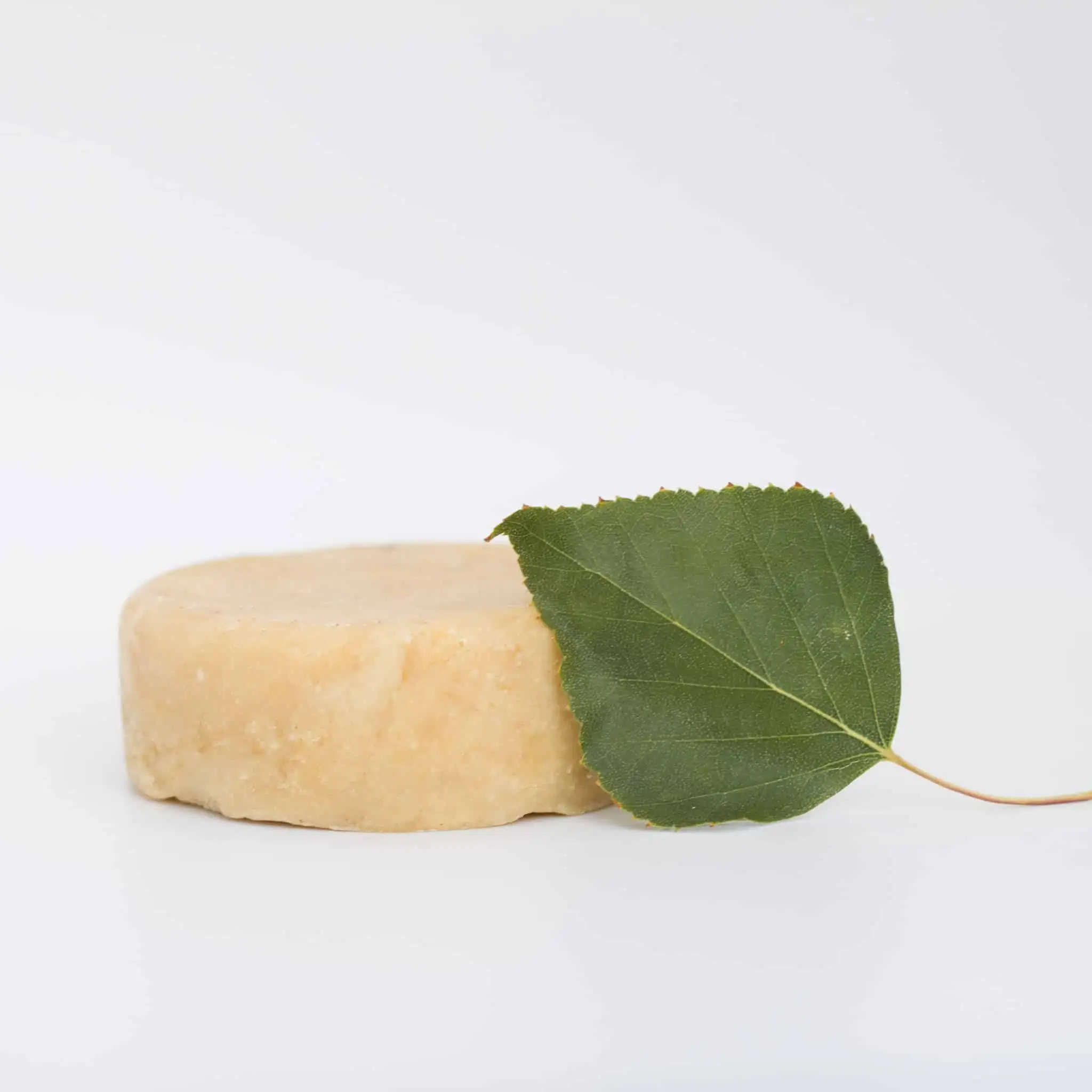 Birch Tar & Nettle Solid Shampoo